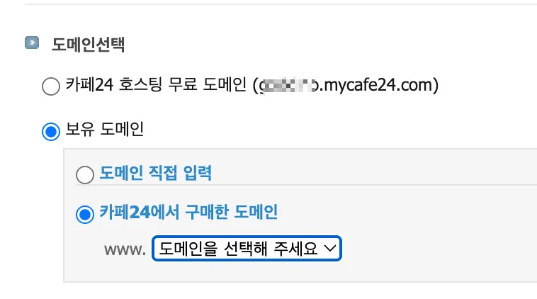 카페24 도메인 선택